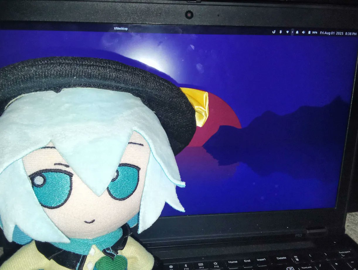 Koishi was always a linux gal...