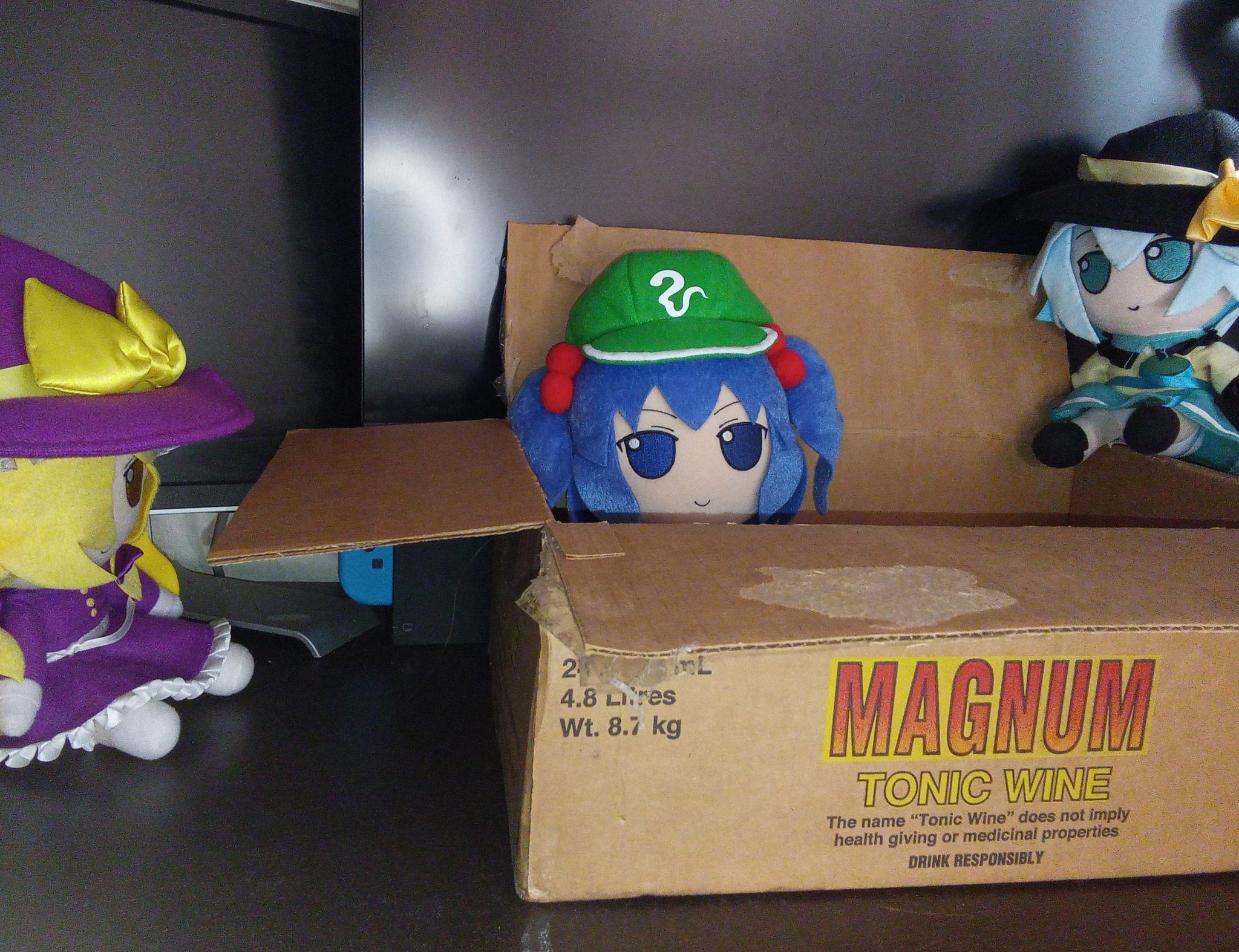 It took the Nitori Fumo Guy on X Formerly Known as Twitter that long to get a Nitori Fumo...