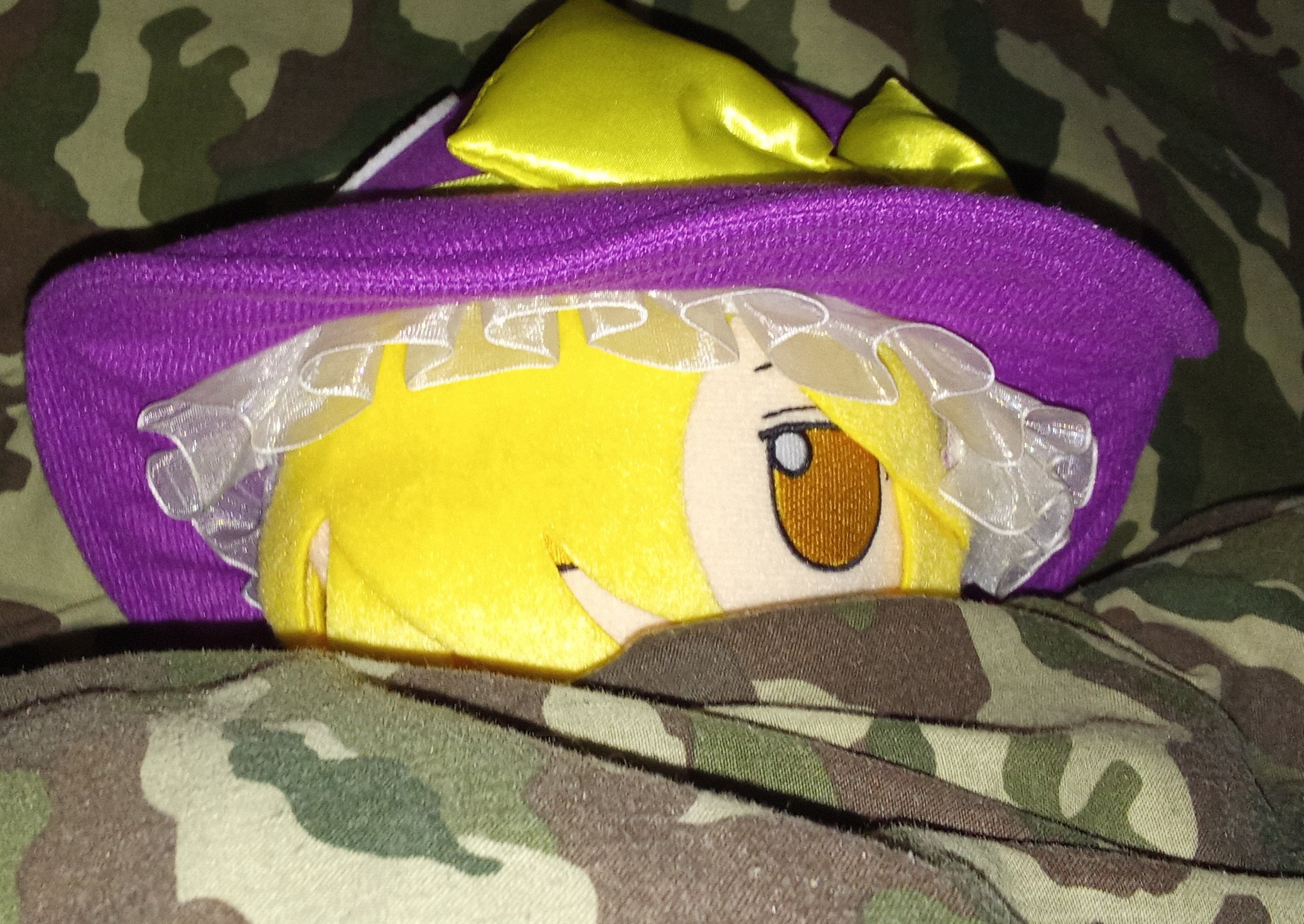 I don't think using flash was the best idea in the world...